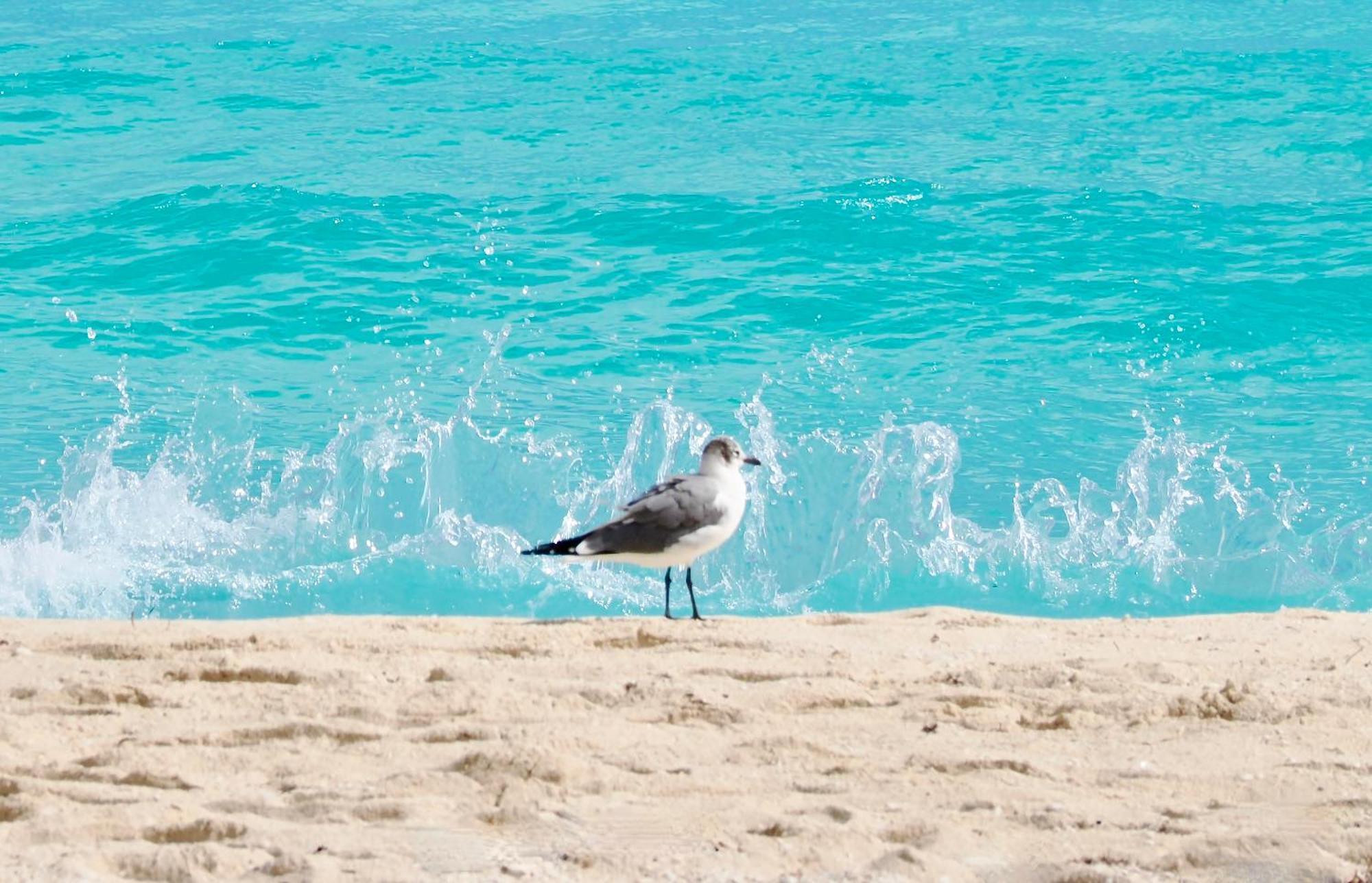 Solymar Condos On The Beach Cancún Exteriér fotografie